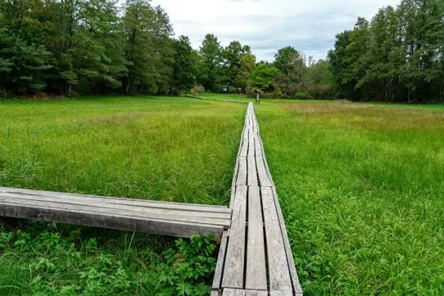 Marshlands of Szőce