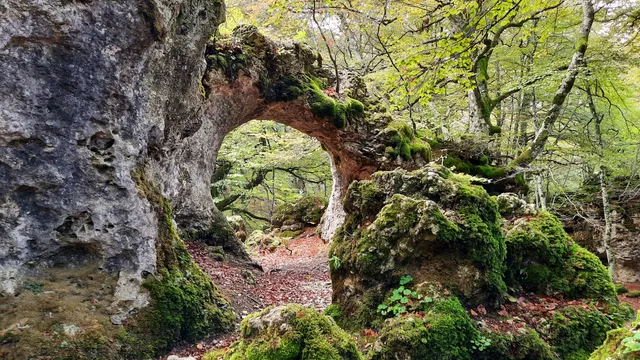 Laberinto de Katarri (Sierra de Entzia)