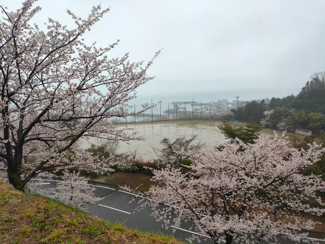 The Futami sea wind interaction park.