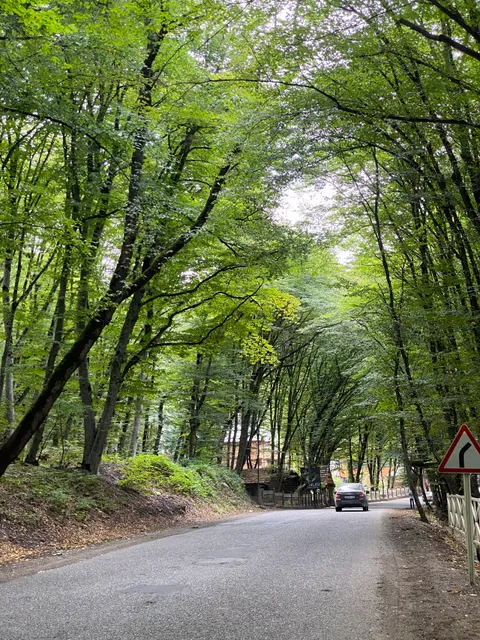 Gachrash Forest (recreational area)