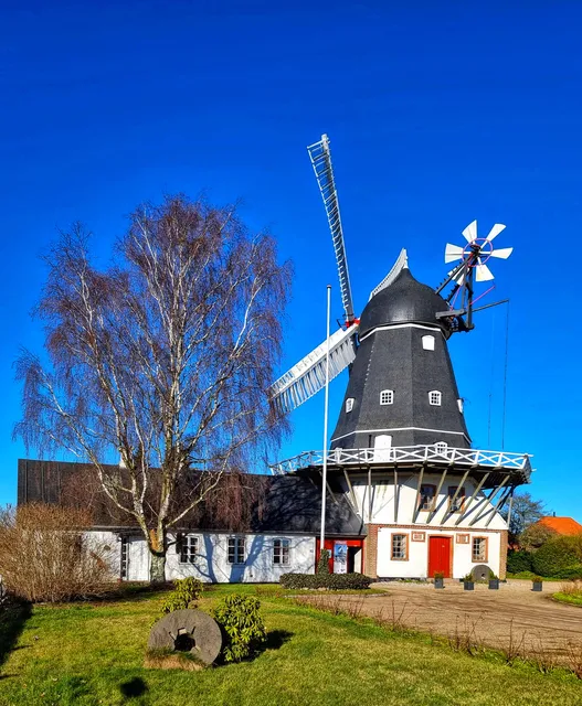 Ringsted Museum & Arkiv