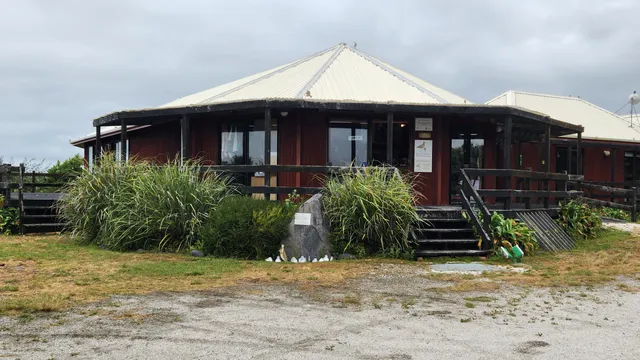 Pūkorokoro Miranda Shorebird Centre