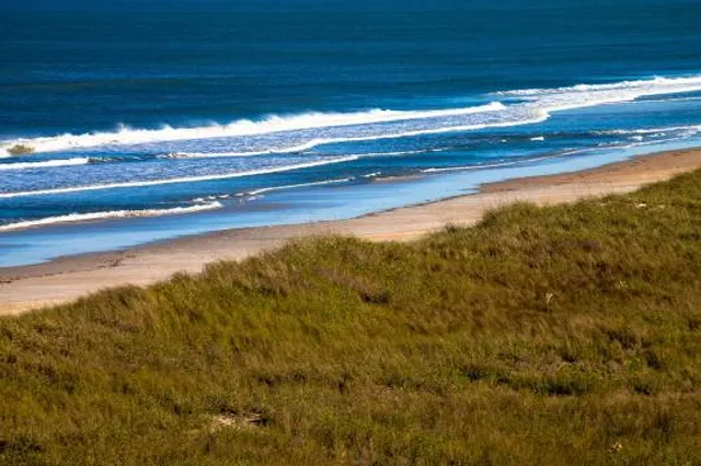 Deep Creek State Forest