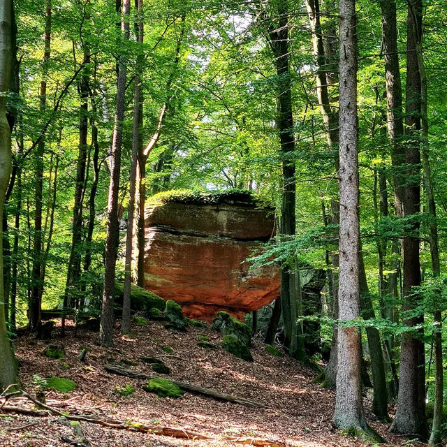 PREMIUMWANDERWEG: ARIUS TOUR