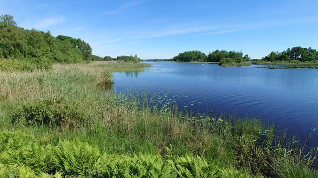 Hunshults naturreservat