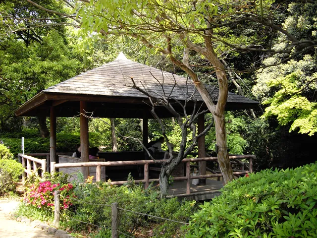 Denenchofu Seseragi Park