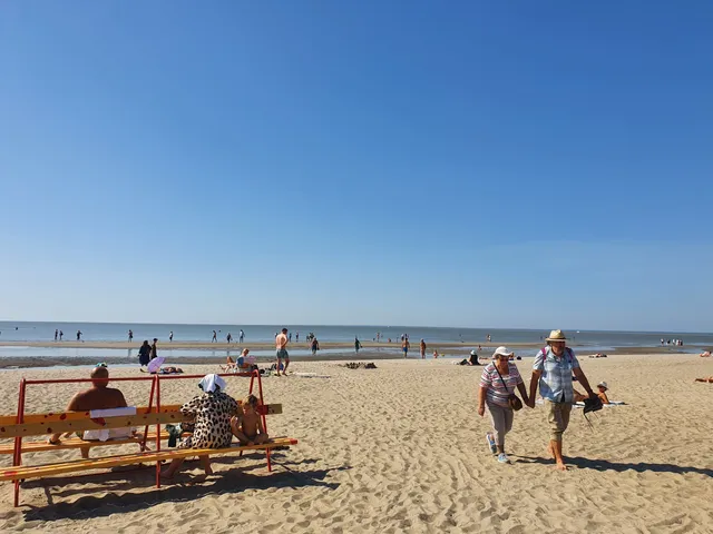 photo-1