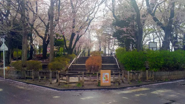Kitano Park