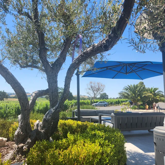 J Dusi Wines- Winery and Tasting Room