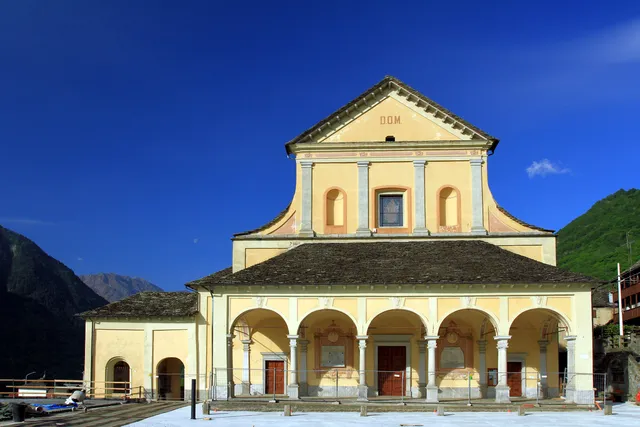 Cattedrale tra i Boschi