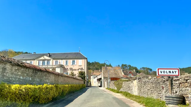 Domaine de la Pousse d'Or