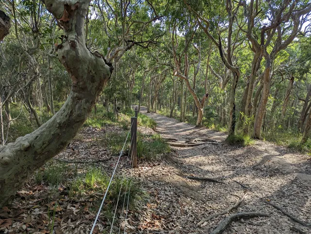 Wyrrabalong Coastal Walk