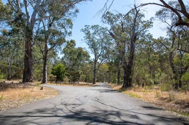 Belair National Park