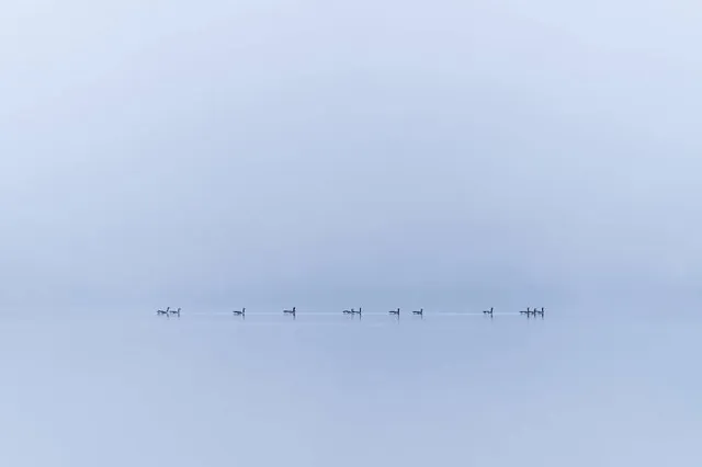 Scotts Flat Reservoir