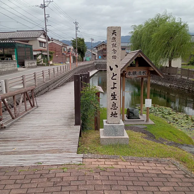 Hongan-Shozu Itoyo Fish Habitat
