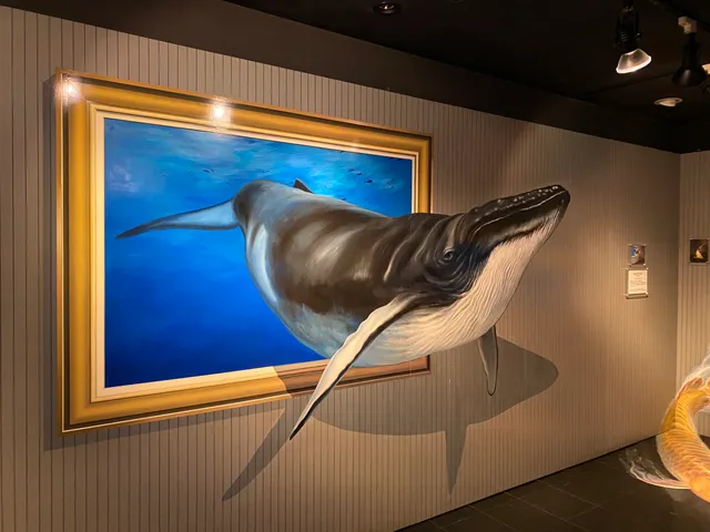 Mount Takao Trick Art Museum