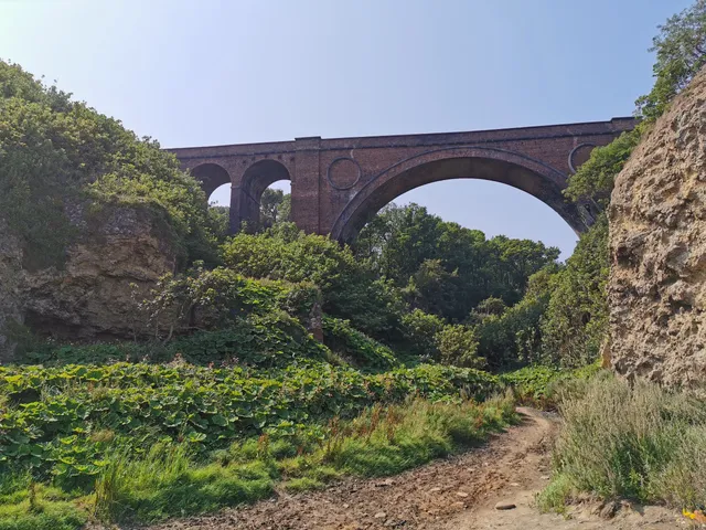 Hawthorn Dene Nature Reserve