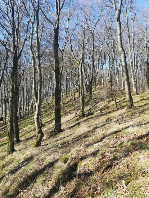 photo-2