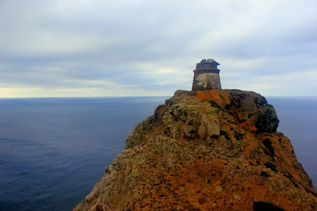 Torre dello Zenobito