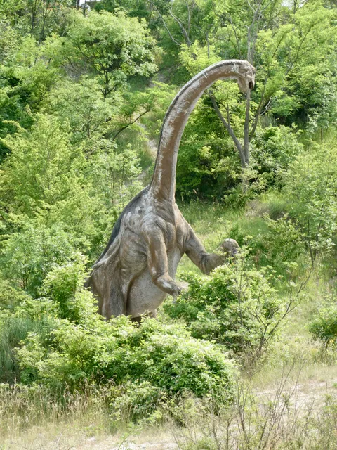 Parco Geopaleontologico