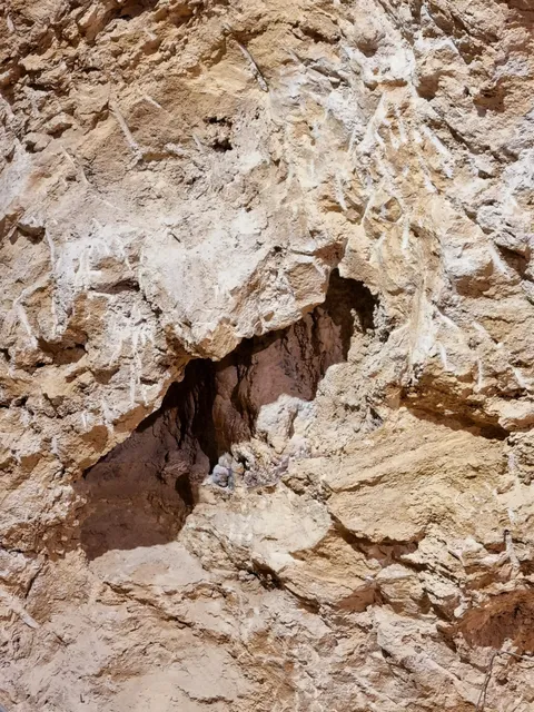NEAN Parque Prehistórico de Capellades