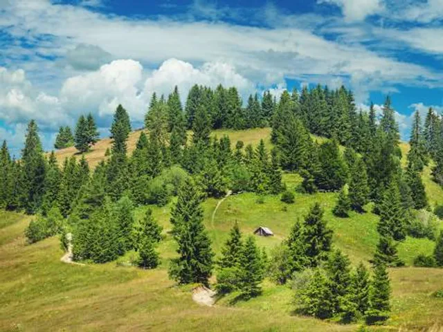 Ghimeș-Palanca Pass