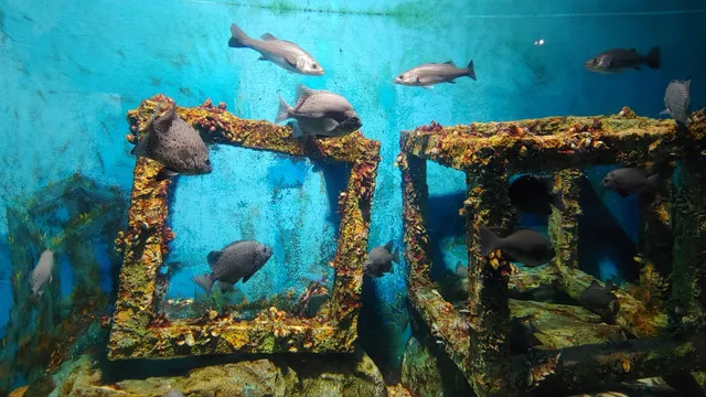 울진아쿠아리움