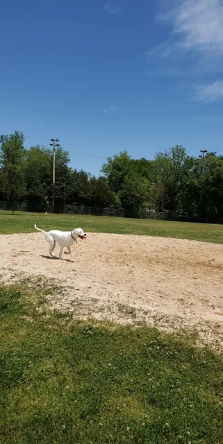 City of Morristown Dog Park