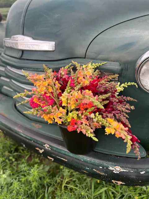 Creek's Bend Family Farm