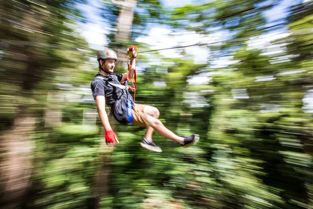 TreeTop Challenge Big Pineapple