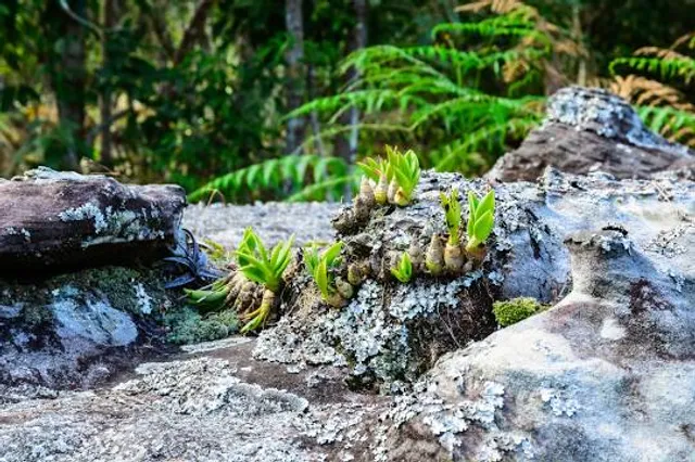 Free Land | Lazer - Gastronomia - Eventos