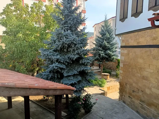 photo-3