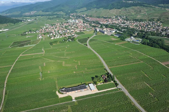 Domaine Zind-Humbrecht