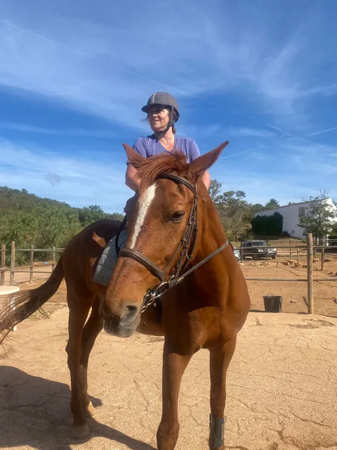 QPA Horse Riding Centre / Quinta Paraíso Alto