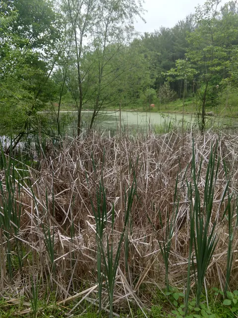 Rust Nature Sanctuary