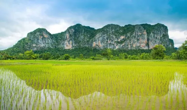 หลงเขา คาเฟ่ @ภูผาม่าน