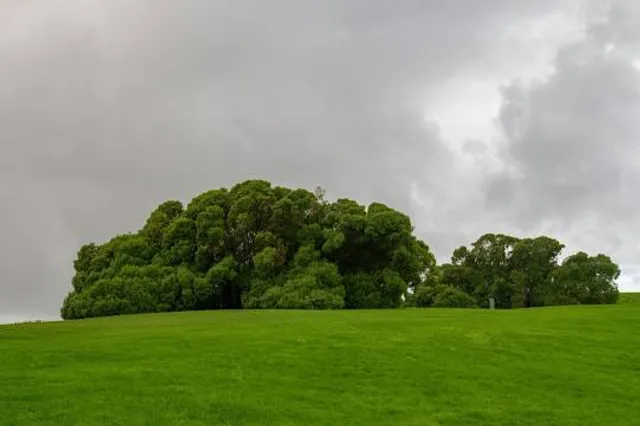 Cerro de Santa Catalina