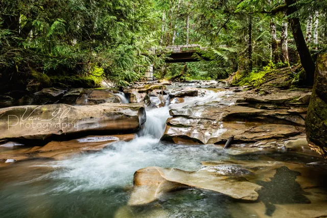 Cumberland Community Forest