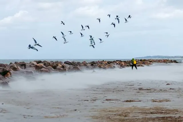 Strandseelandschaft bei Schmoel