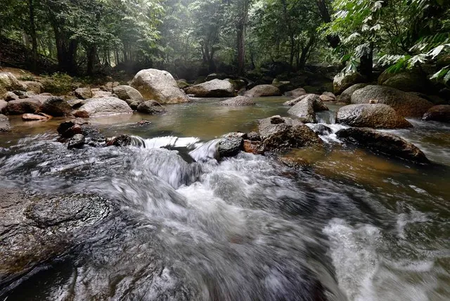 Lentang Forest Reserve