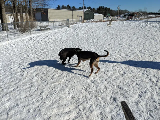 Kennebunk Dog Park