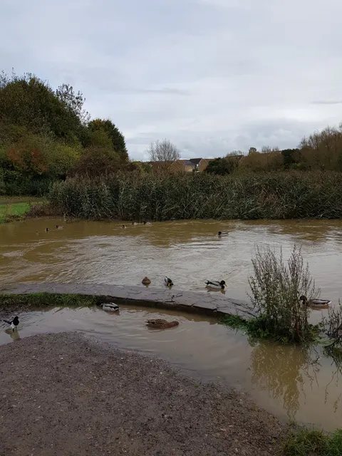 Three Brooks Local Nature Reserve