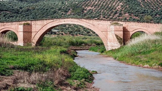 Puente de Ariza
