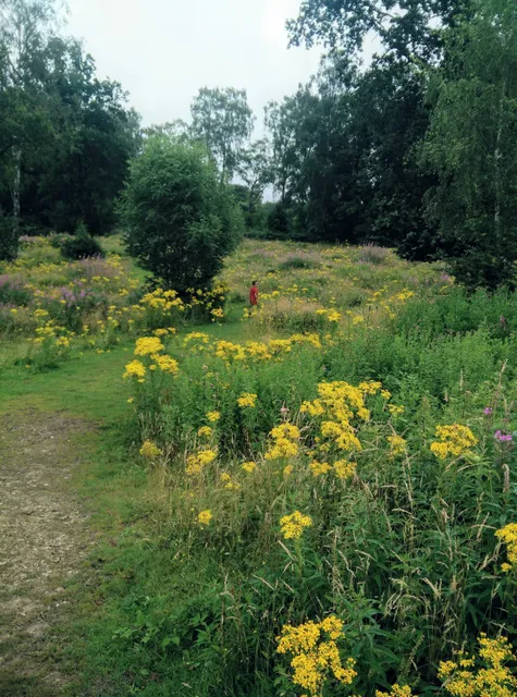 West Down Nature Reserve