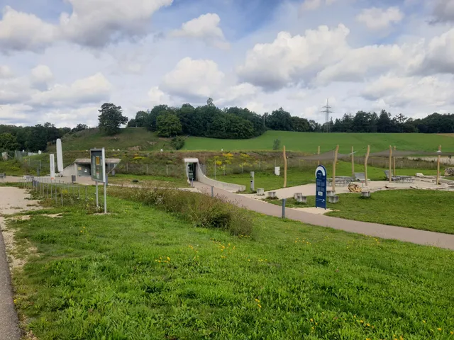 photo-1