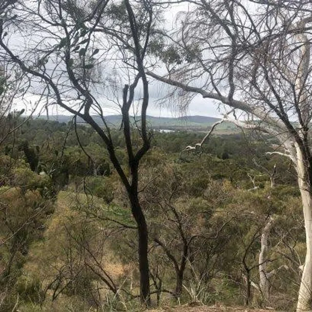 Altona CSR Landcare Reserve south australia