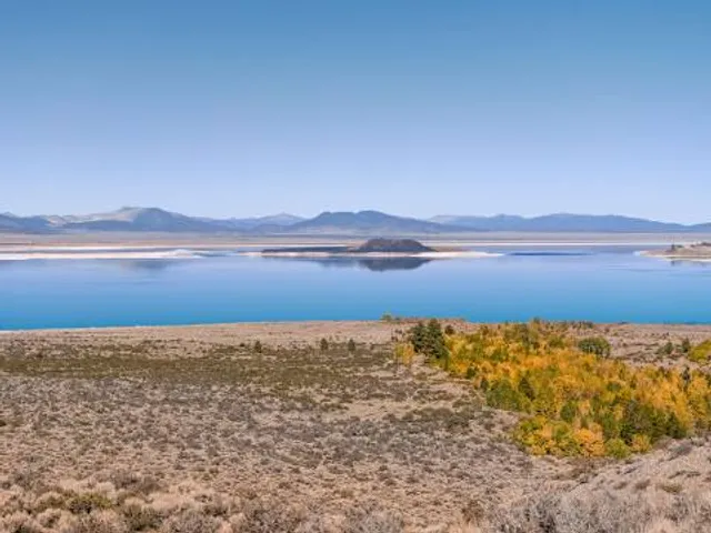 Mono Basin Scenic Area Visitor Center