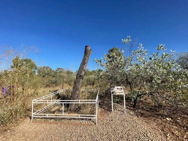 Stuart Tree Historic Site