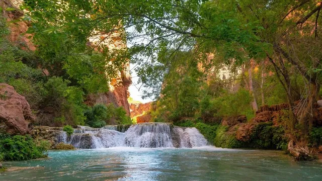 place image