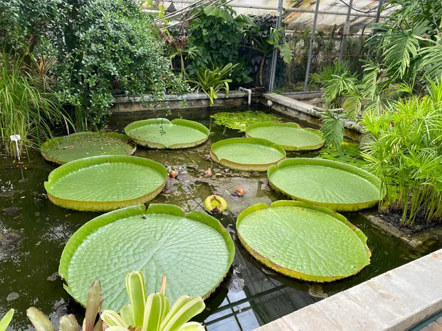 Sbírkové skleníky Výstaviště Flora Olomouc